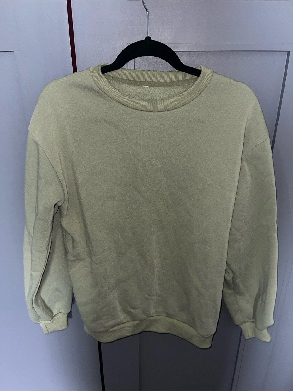 Men's Crewneck Sweatshirt - Light Sage